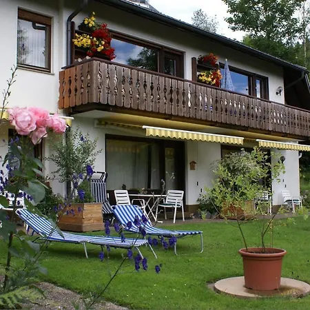 Black Forest Apartments Titisee Exterior photo