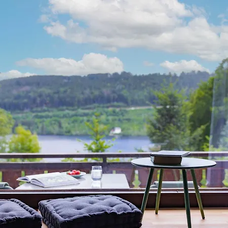 Black Forest Apartments Titisee Exterior photo