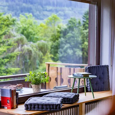 Black Forest Apartments Titisee Exterior photo