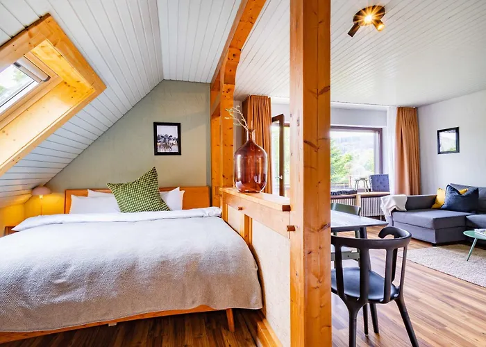 Black Forest Apartments Titisee
