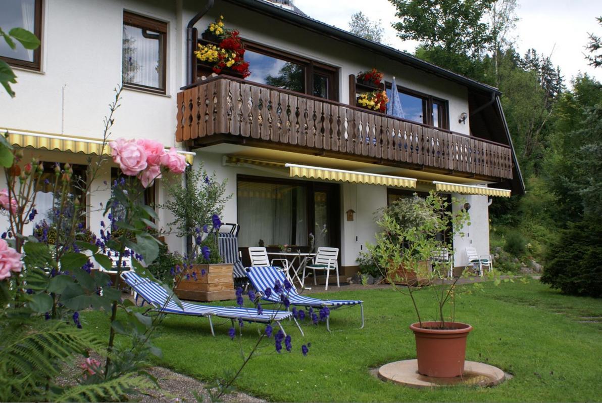 Black Forest Apartment *