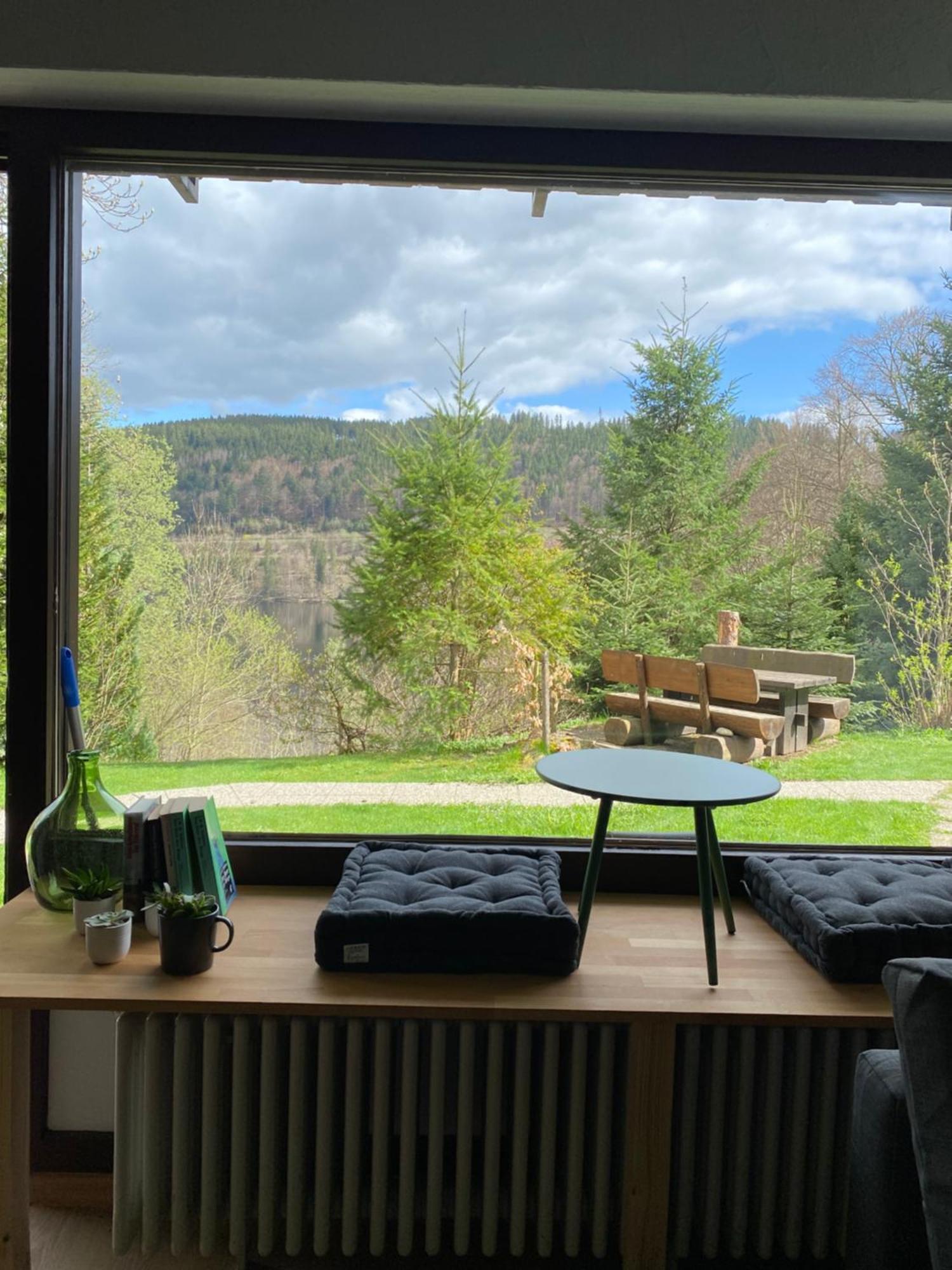 Black Forest Apartment Titisee-Neustadt