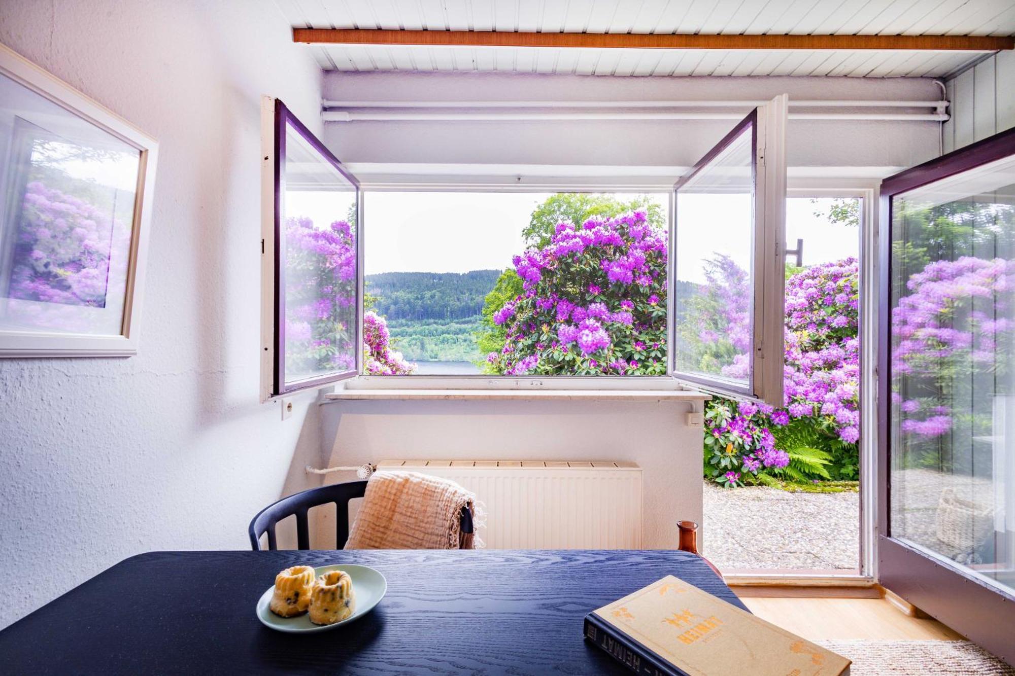 Black Forest Apartment Titisee-Neustadt